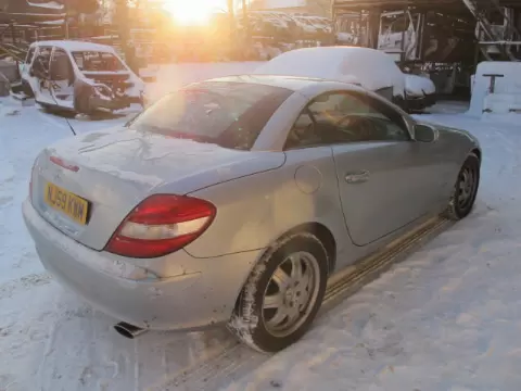Mercedes-Benz SLK-171 2007 m.